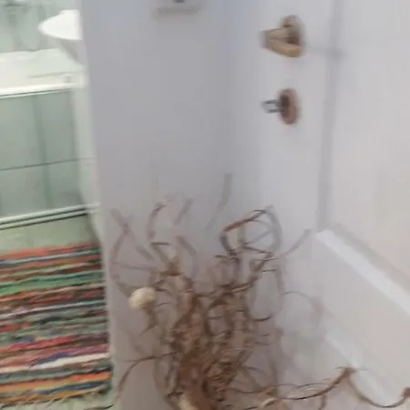 Apartament Cristina *